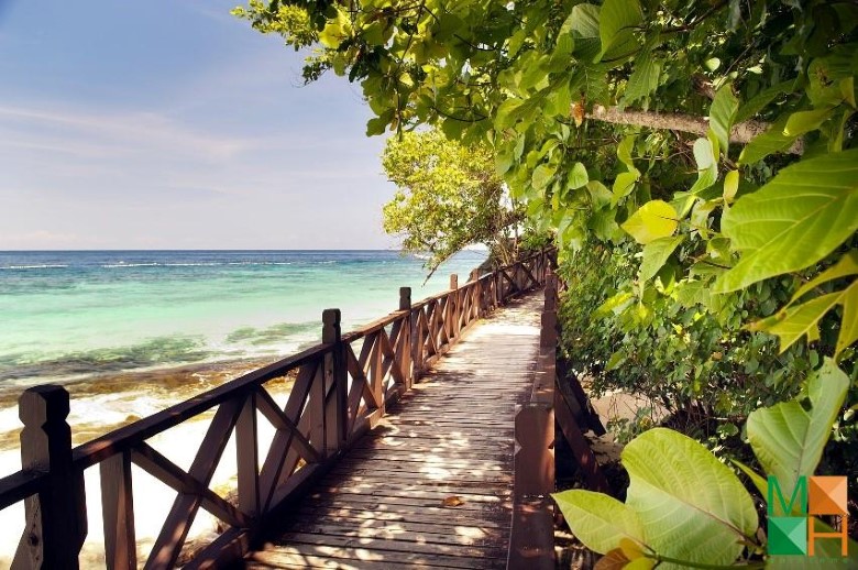 Tranh dán tường Hàn Quốc 3d khổ lớn tại Hà Nội NA - 215